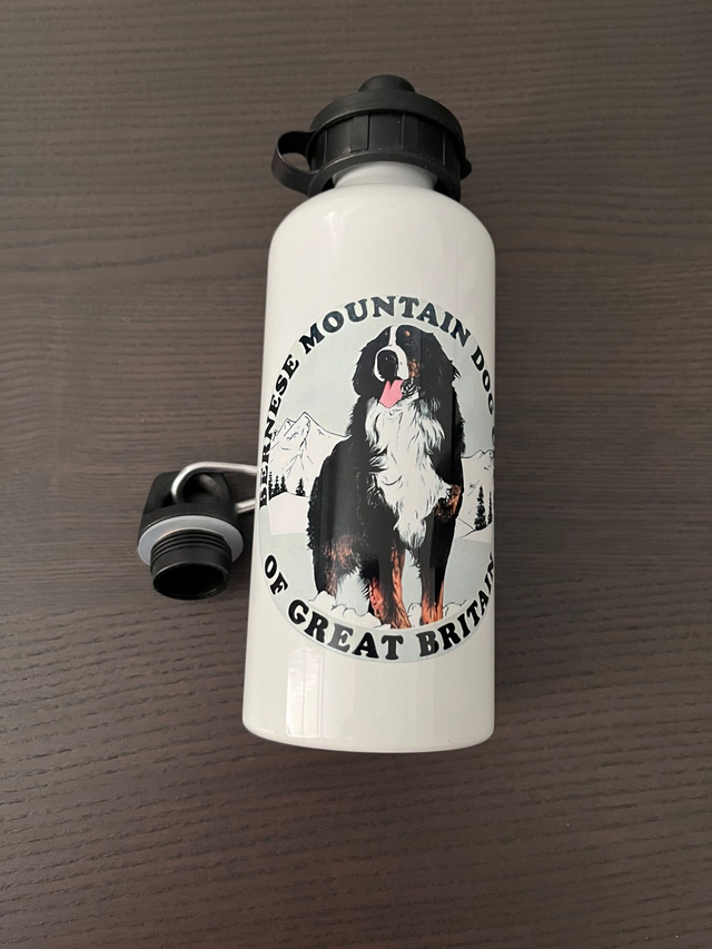 Aluminium Water Bottle