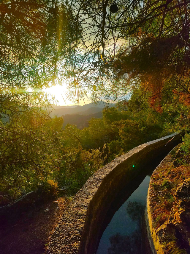 Atardecer y Barbacoa en el Pinarillo