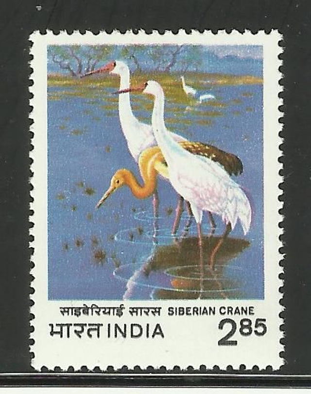 India 1983 Birds,Siberian Crane MNH