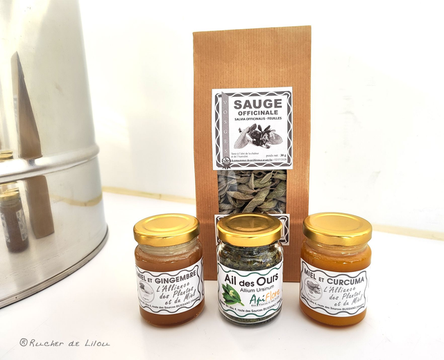 Sauge - Ail des Ours - Miel Curcuma & Gingembre