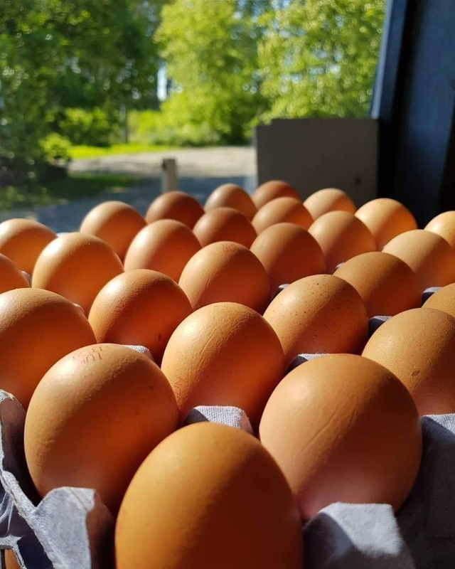 6 Large Free Range Eggs 