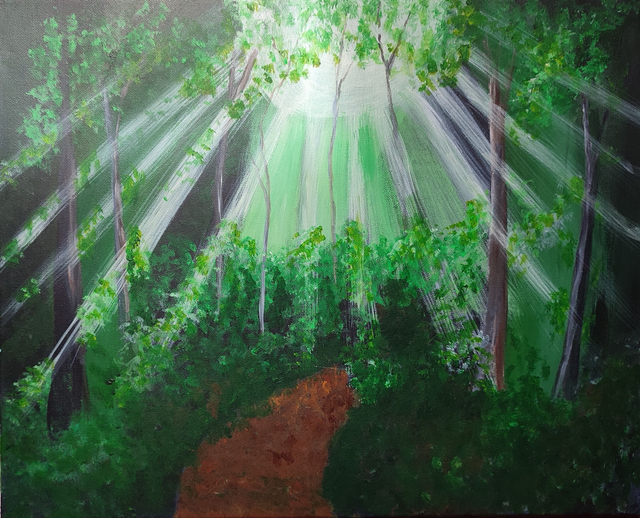 Early Morning in the Forest 