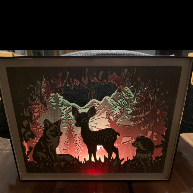 Le cadre lumineux forêt 