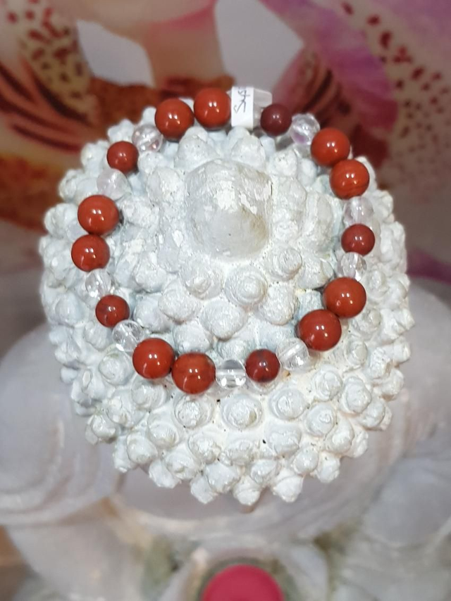 Soutien, Courage, Système immunitaire 