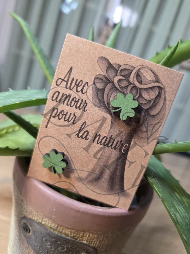 Shamrock simple coloré