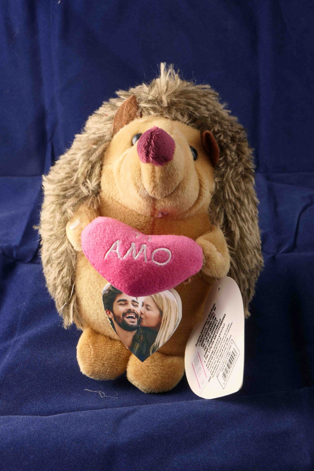 peluche CRICETO CM 14 X 10 X11 CON FOTO PERSONALIZZATA