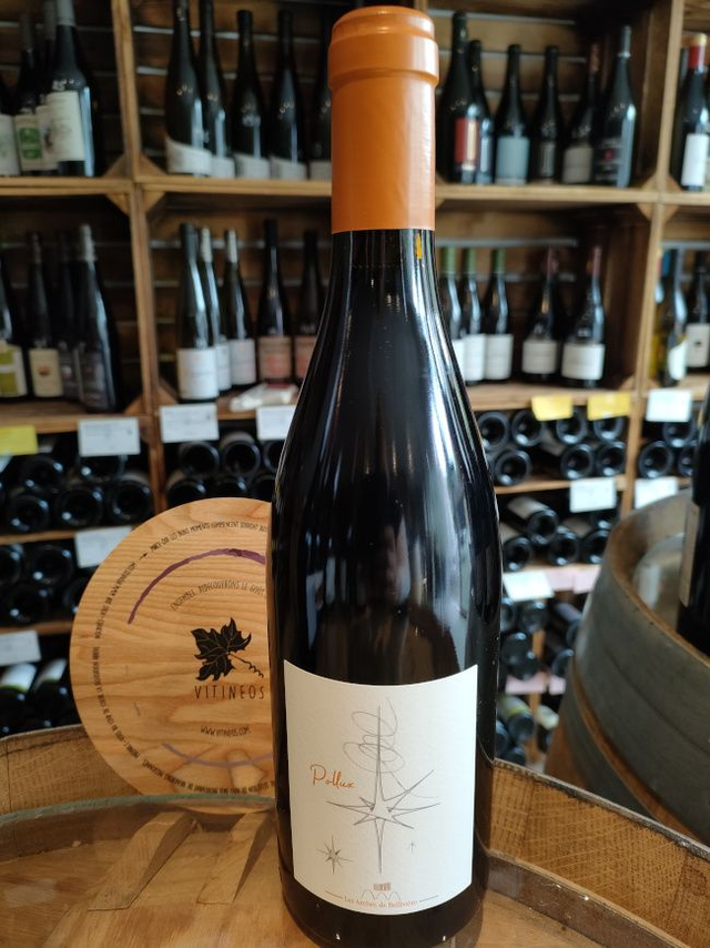 Pollux 2022 - Rouge Sec Tranquille - Domaine de Bellivière (Clément et Laure-Anne Nicolas)