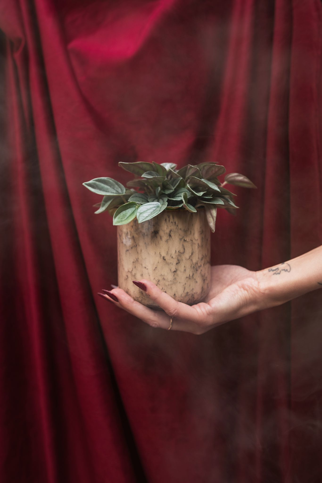 Latte Macchiato ☕ Cache-pot