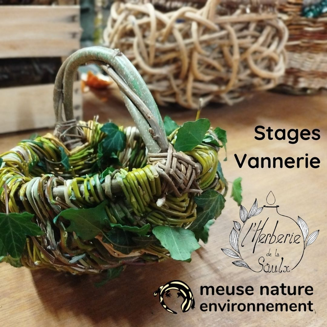 11/15 : Stage vannerie sauvage - dimanche 15 novembre