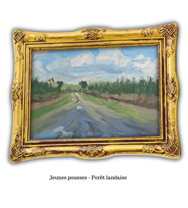 Jeunes pousses - Forêt Landaise