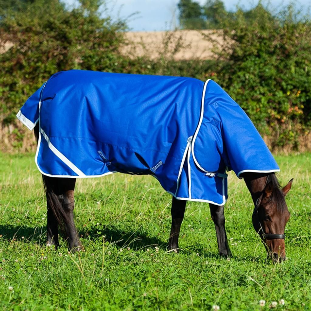 Trojan Xtra 300g Dual Turnout 