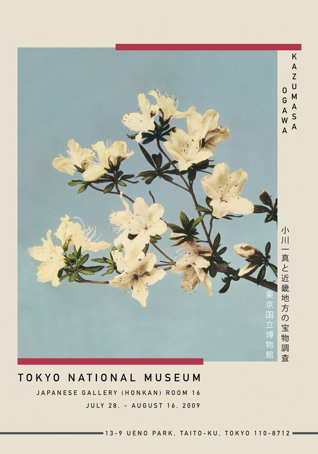 Japanese Azaleas Exhibition Poster