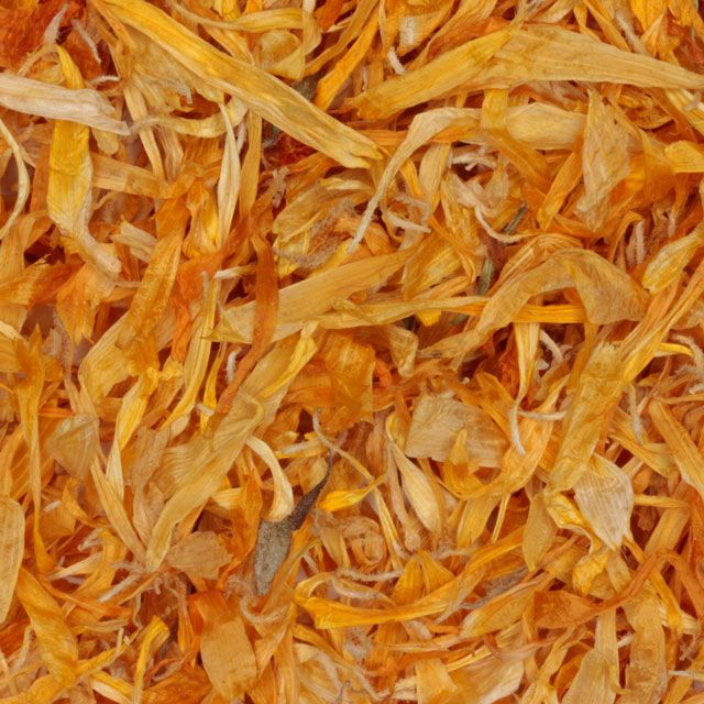 Goudsbloem zonder kelk (Marygold) - BIO