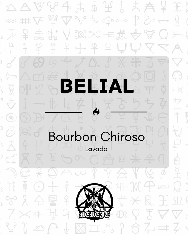 Belial - Bourbon Chiroso - Lavado - 250g