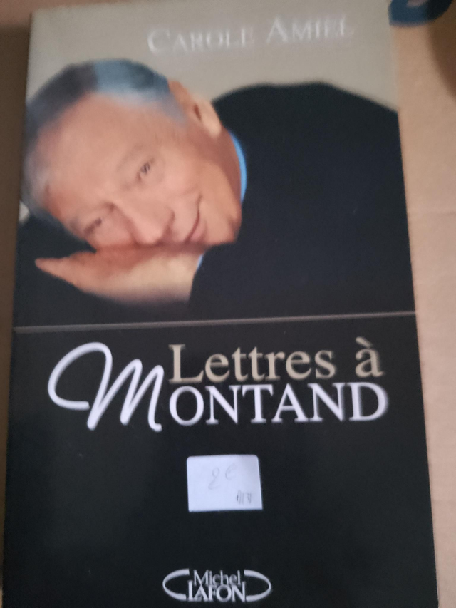 Lettres a Montand, Carole Amiel
