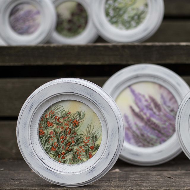 SEA BUCKTHORN | Botanical Study