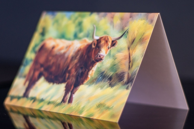 Highland Cow Greetings Card. Painterly style colour digital sketch. 148mmx105mm.