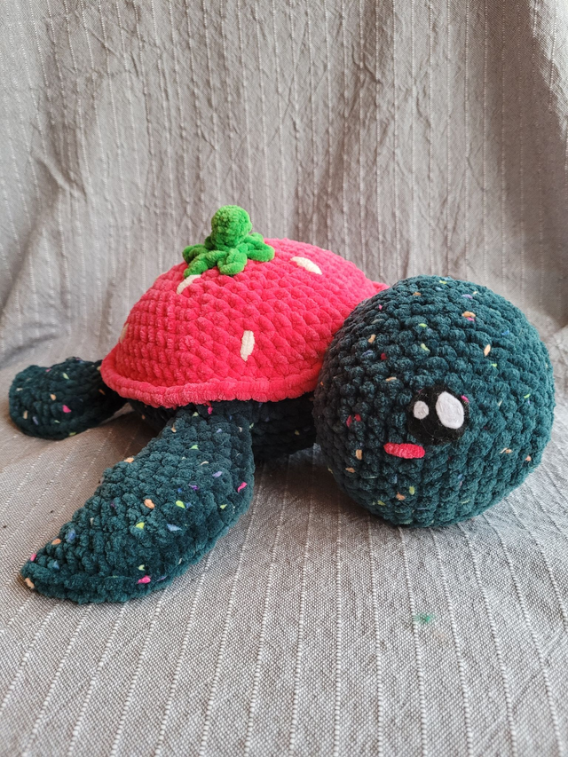 Framboise, la tortue fraise