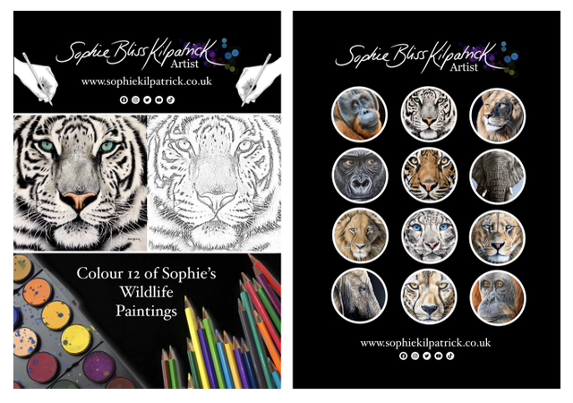 Adult Colouring Book - Splat Designs