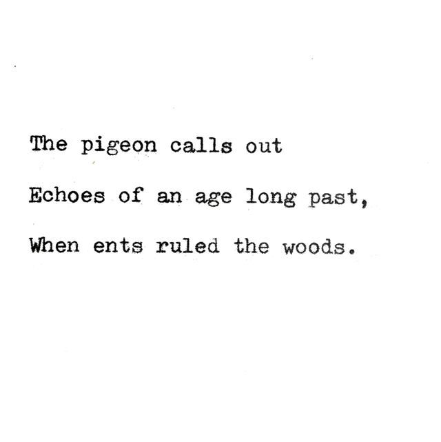 Daily Poem No. 7