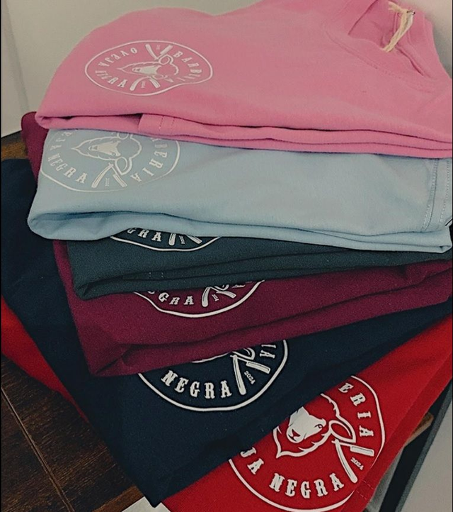 POLERA COLORES (Logo Adelante)