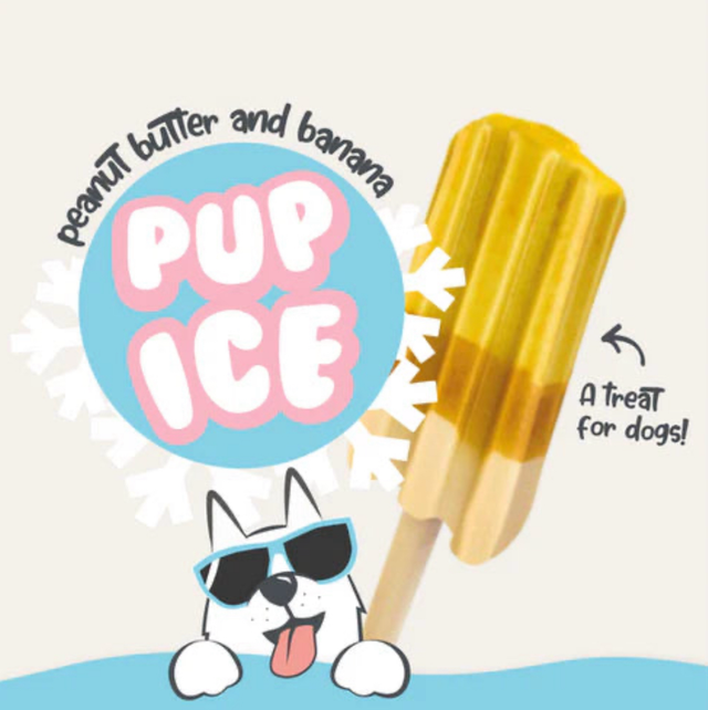 Pup ice