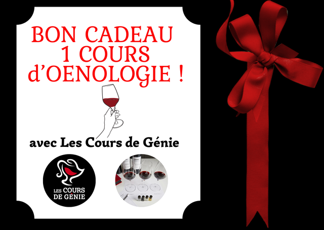 Cours œnologie à domicile