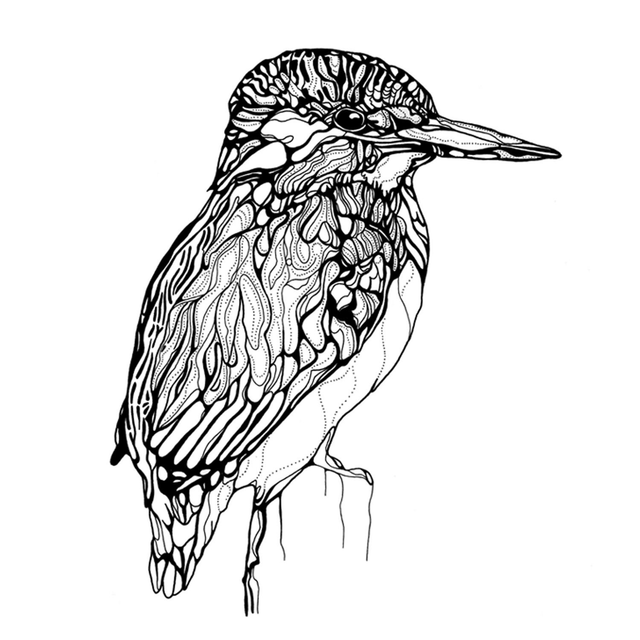 B&W A3 print - kingfisher