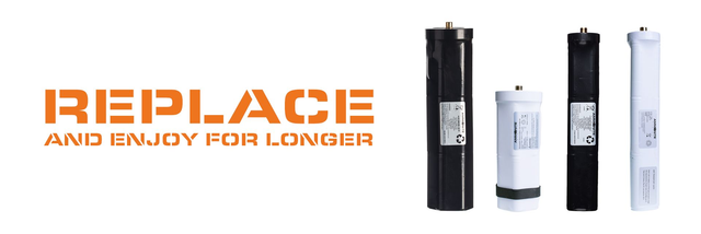 Ammonite remplacement de d'accus