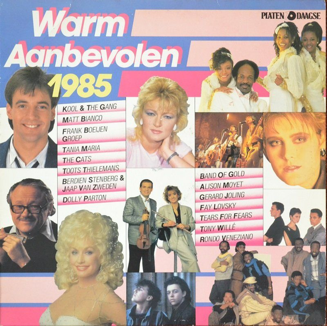 Various - Warm Aanbevolen (LP)