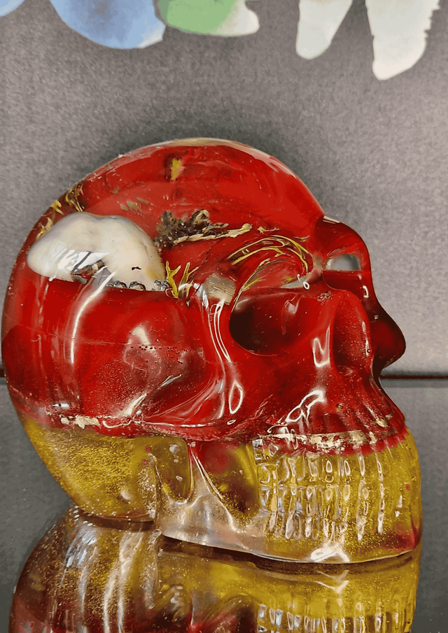 TETE DE MORT CARDINAL