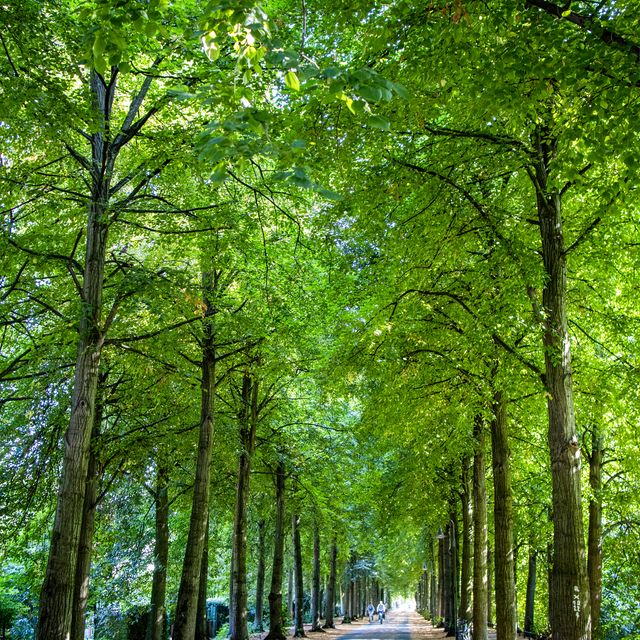 Sommer auf der Promenade