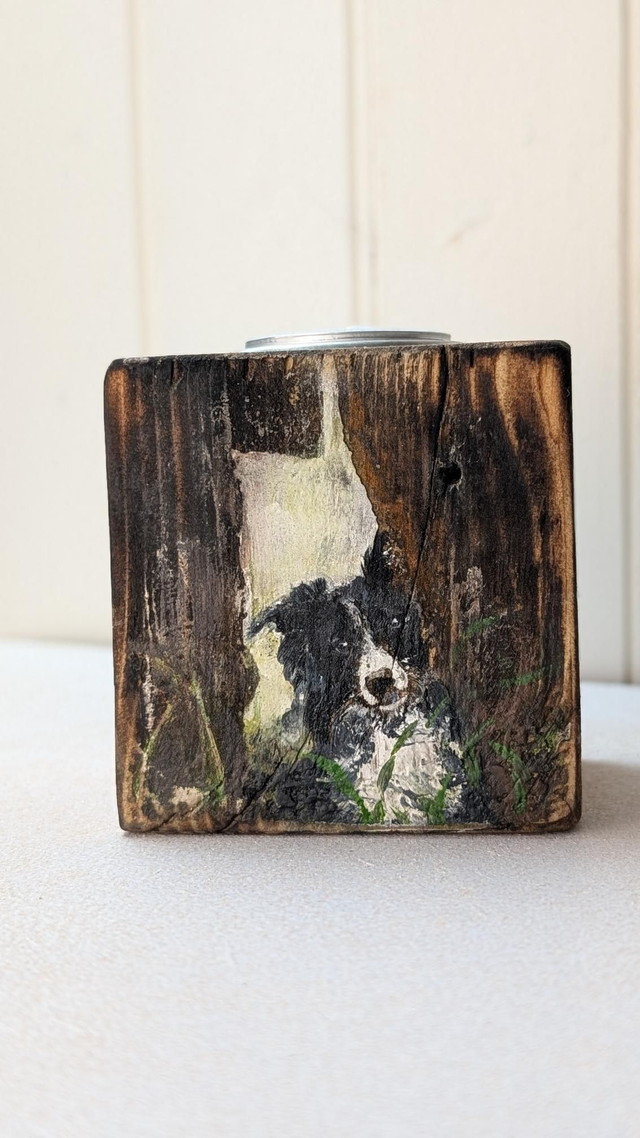 Collie dog peeking through a gap in the fence - Tealight Holder