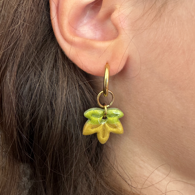 Acérines Bicolore vert mousse et doré