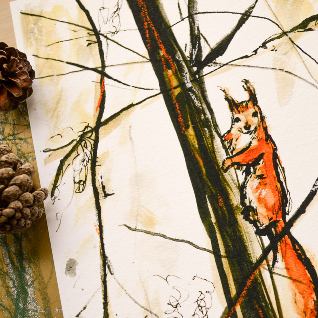 Red Squirrel Pauses For Thought | Print