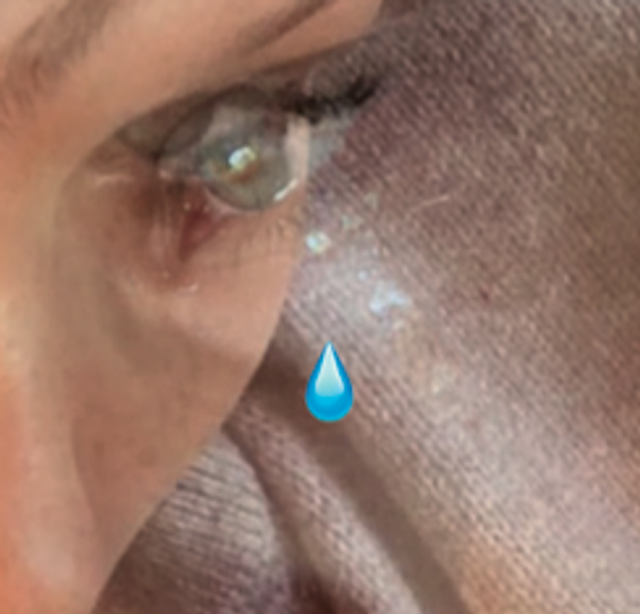 LIBRA 2022 - Antoine Donzeaud 