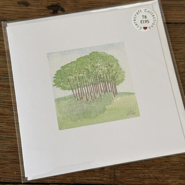 WP03 Nearly Home Trees