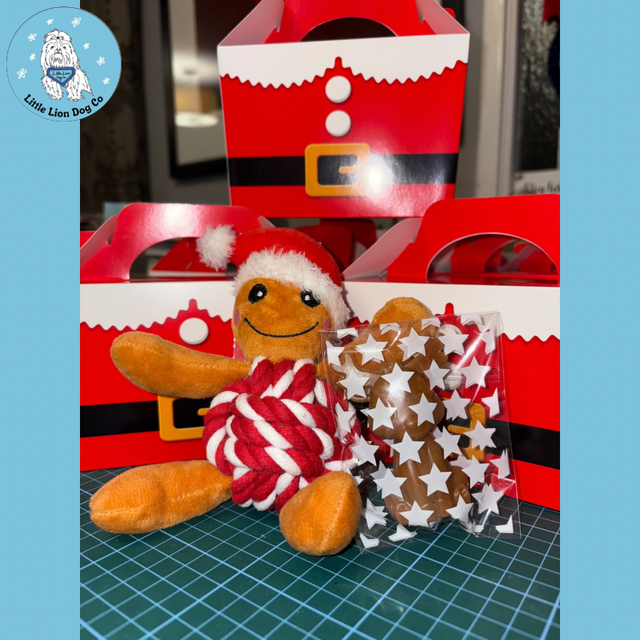 Christmas Dog Gift Box 