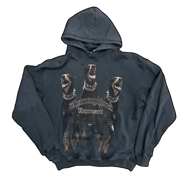 Represent Thouroughbred Hoodie - L