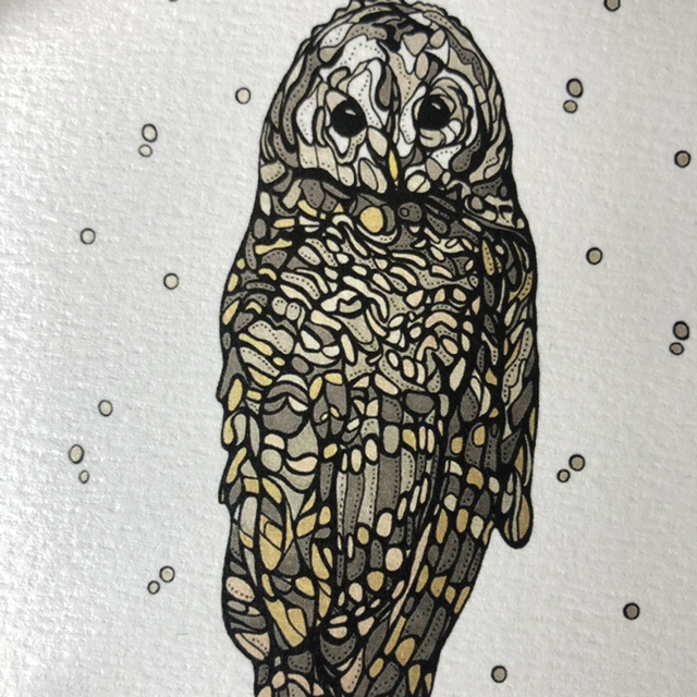 Card - blank - owl
