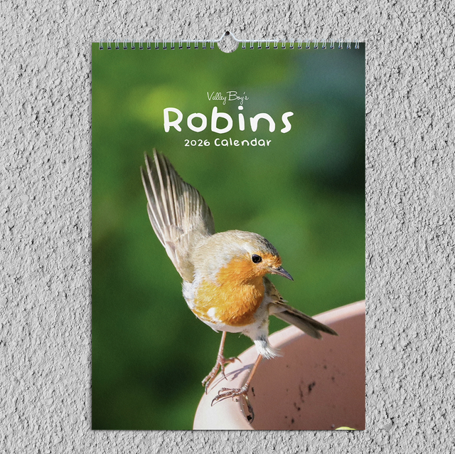 “Robins” 2026 Calendar