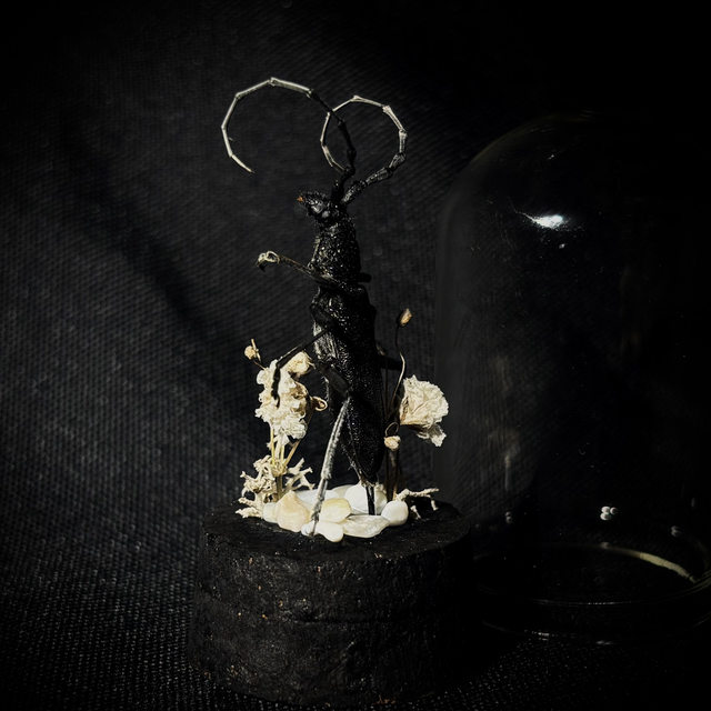 Miniature - Plusieurs choix