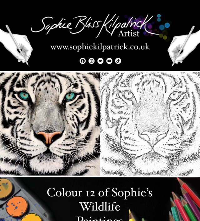 Adult Colouring Book - Close Up Designs