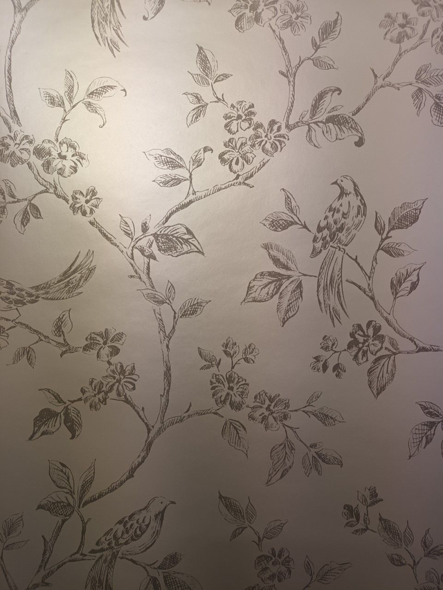 Beatrice - Fine Décor - FD40329