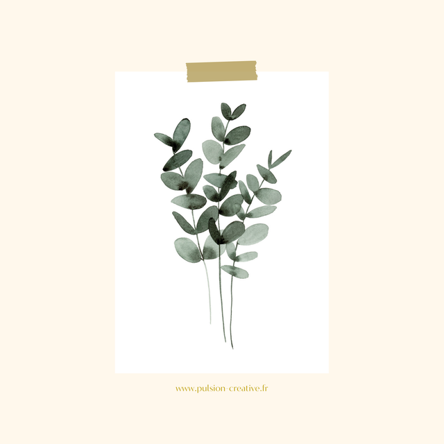 Carte postale aquarelle - Eucalyptus