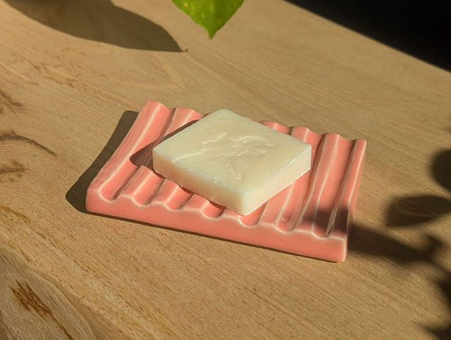 Porte-savons colorés