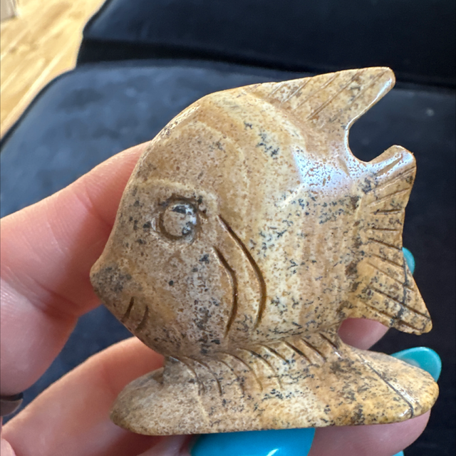 Picture Jasper Fish 