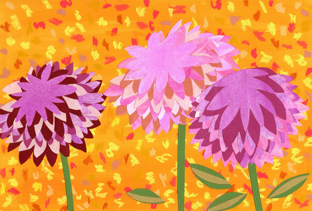 Dahlias