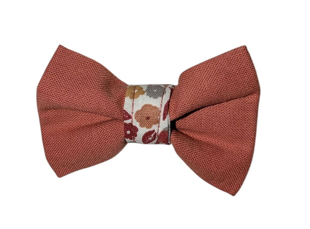 Barrette cheveux