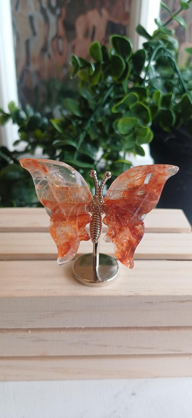 Fire Quartz Butterfly Wings on Silver Stand